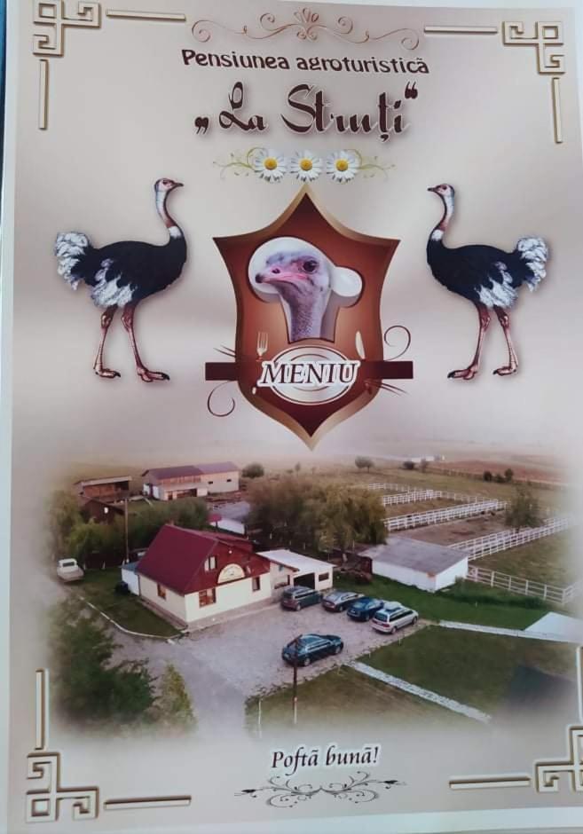 Pensiunea ,,La Struti" Targu Neamt Eksteriør bilde